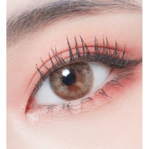 Lighly Lily Brown(日拋)